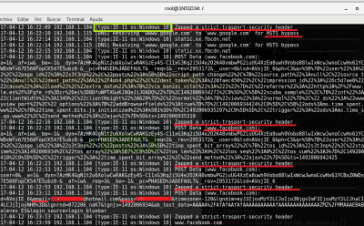 Man In The Middle (MITM): Capturando credenciales con  SSLStrip2 y Delorean