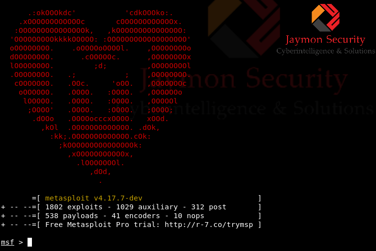 Metasploit pro
