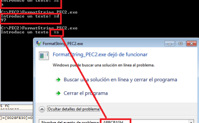 Reversing de Buffer Overflow y Format String